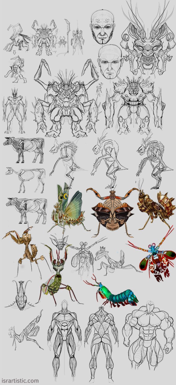 BS14Studiessketches1